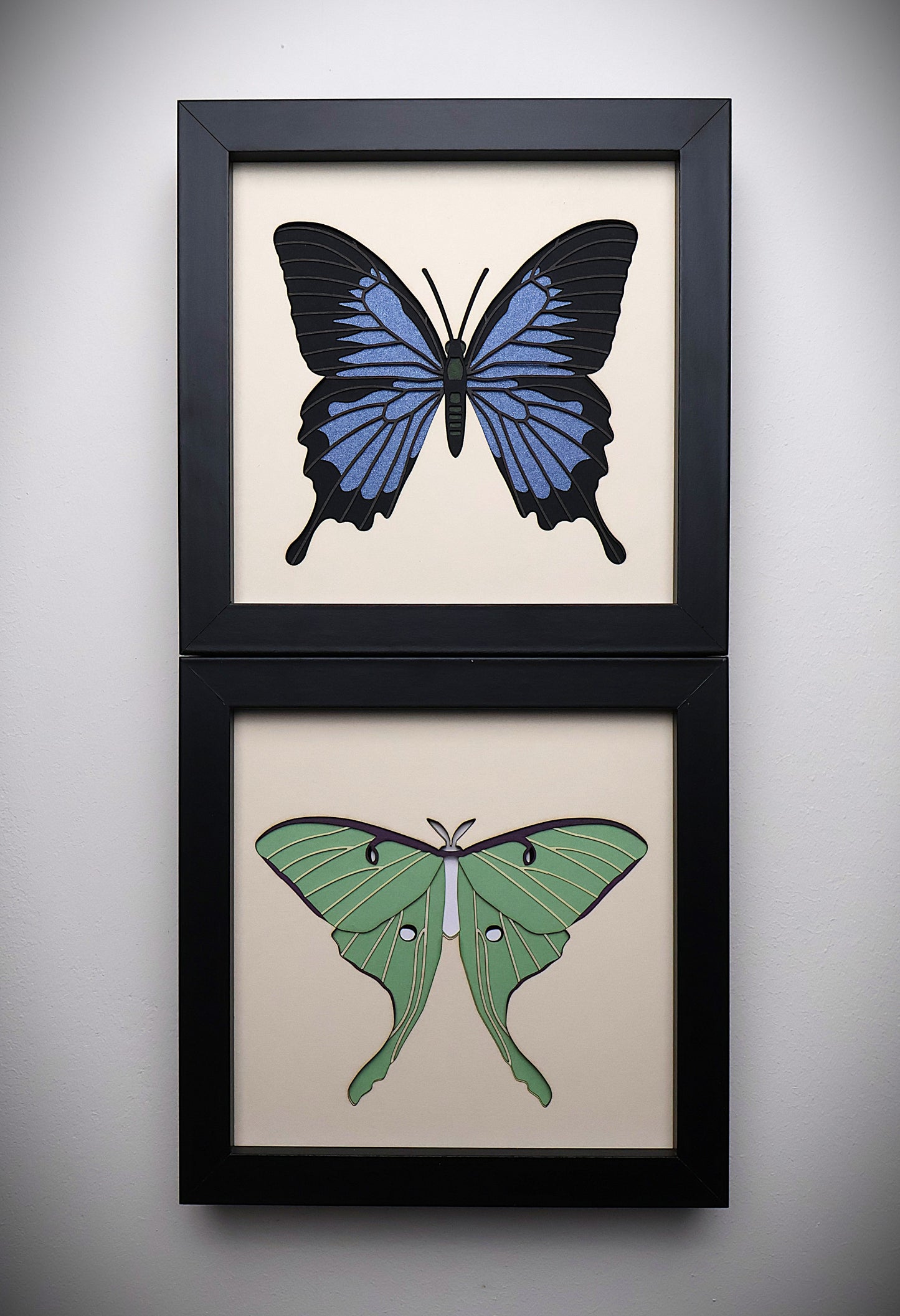 Papillon de lune