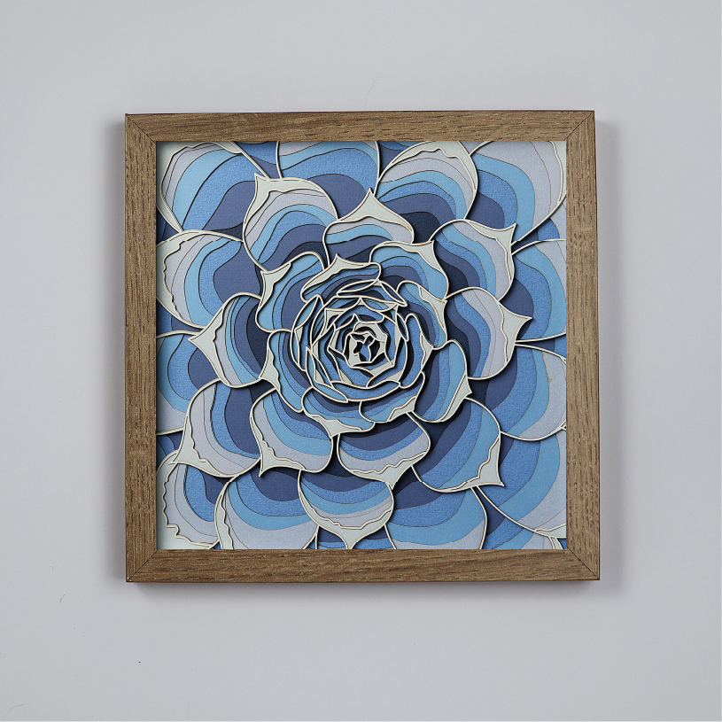 Echeveria