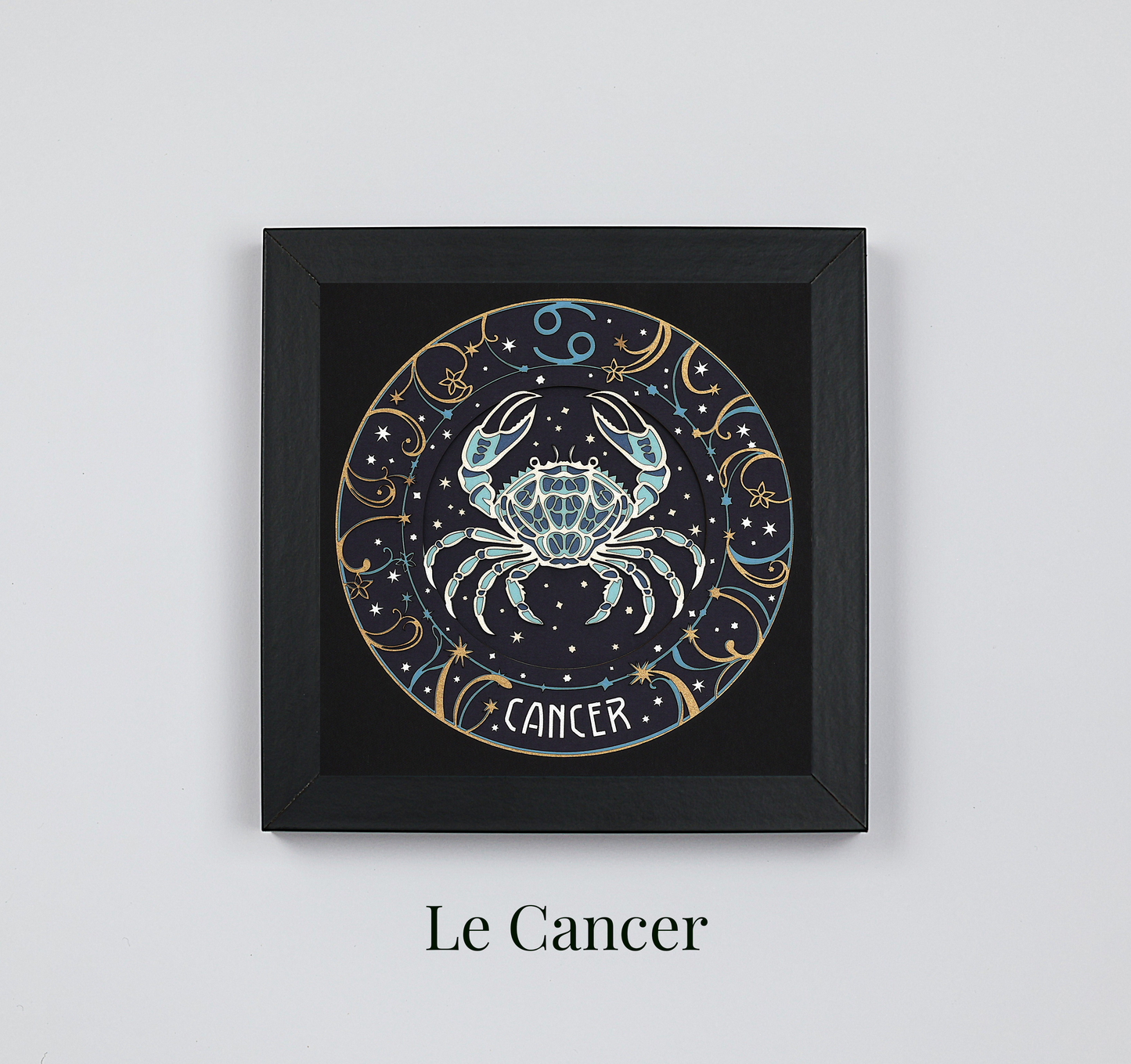 Lot de 2 tableaux Signes Astrologiques