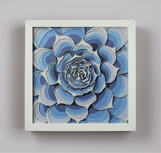 Echeveria