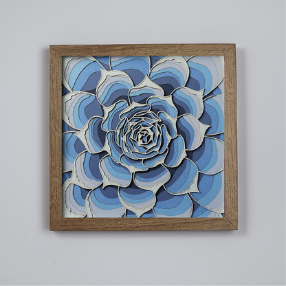 Echeveria